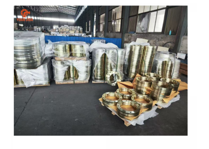 China Steel Flange Factory for Industrial Pipeline Projects