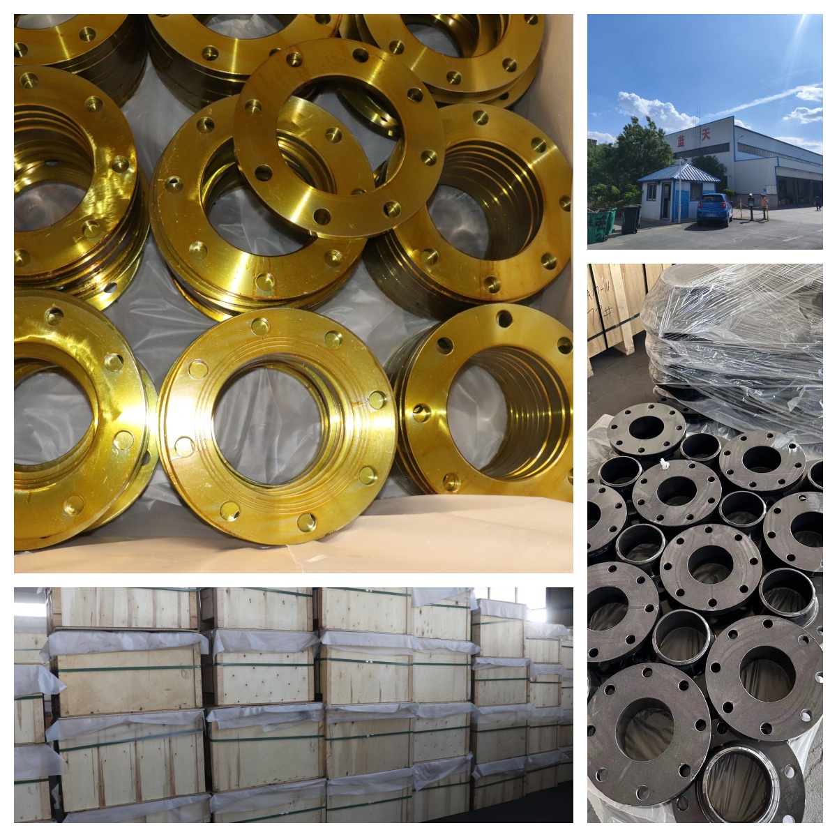 stainless flanges