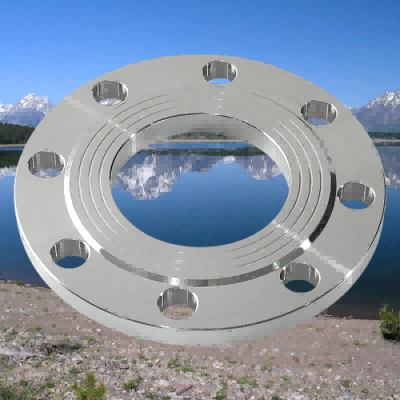 customized iso plate stainless steel 304 PN10 flange